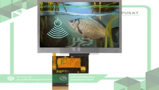 Newhaven Display International NHD-4.3-480272EF-ASXP Display, 4.3 inch, IPS, Thin - Film - Transistor , 480 x 272 pixcels