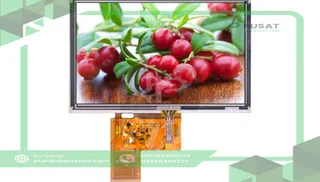 Focus Display Solutions E50RG38048LW2M320-R TFT Display; 5 inch; 800x480; 16/18/24 bit RGB interface
