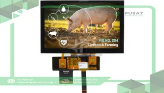 Newhaven Display International NHD-5.0-800480AF-ASXP-CTP 5.0 inch IPS TFT 800x480 px with Capacitive Touch