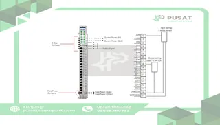 Beijer Electronics 100-8081 16 digital input (sink), out (source), select/chan, 24VDC/0.3A, cage clamp, 18p