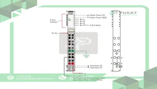 Beijer Electronics 100-8024 Field power dist module, 24/48VDC, 110/220VAC, cage clamp, 10pt removable term