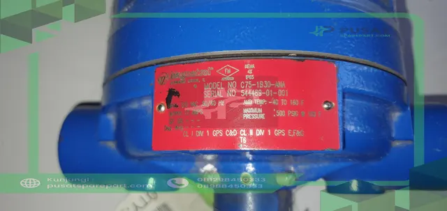 Magnetrol Level and Flow Control B75-1B30-CNA